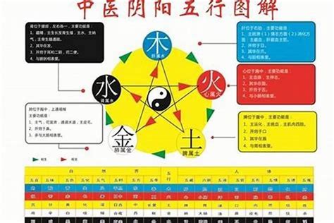 若字五行|若字的五行属性